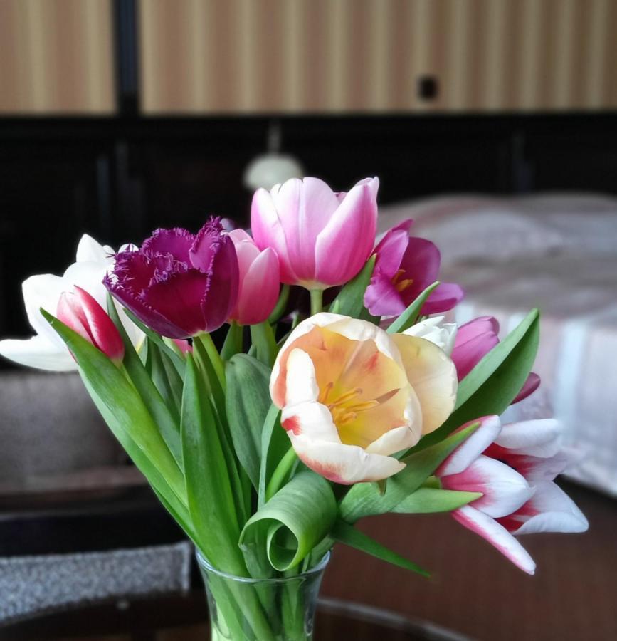 Attache Hotel Kiev Dış mekan fotoğraf